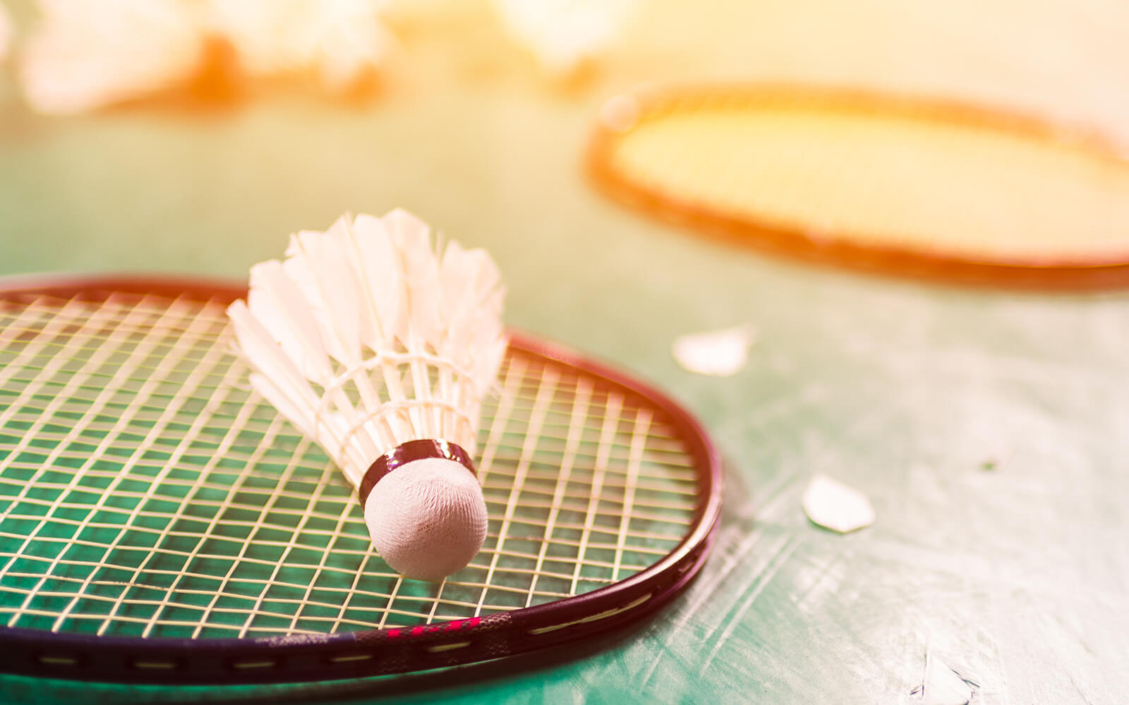 https://ureshino-sports.com/cms/wp-content/uploads/2023/03/badminton03.jpg