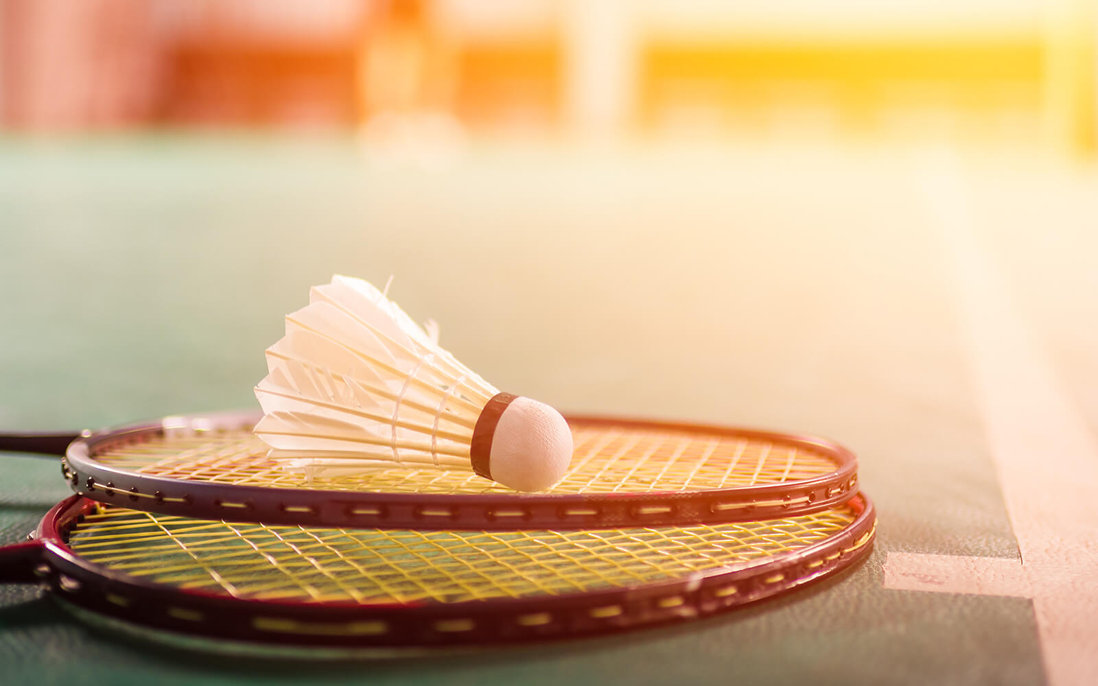 https://ureshino-sports.com/cms/wp-content/uploads/2023/03/badminton05.jpg